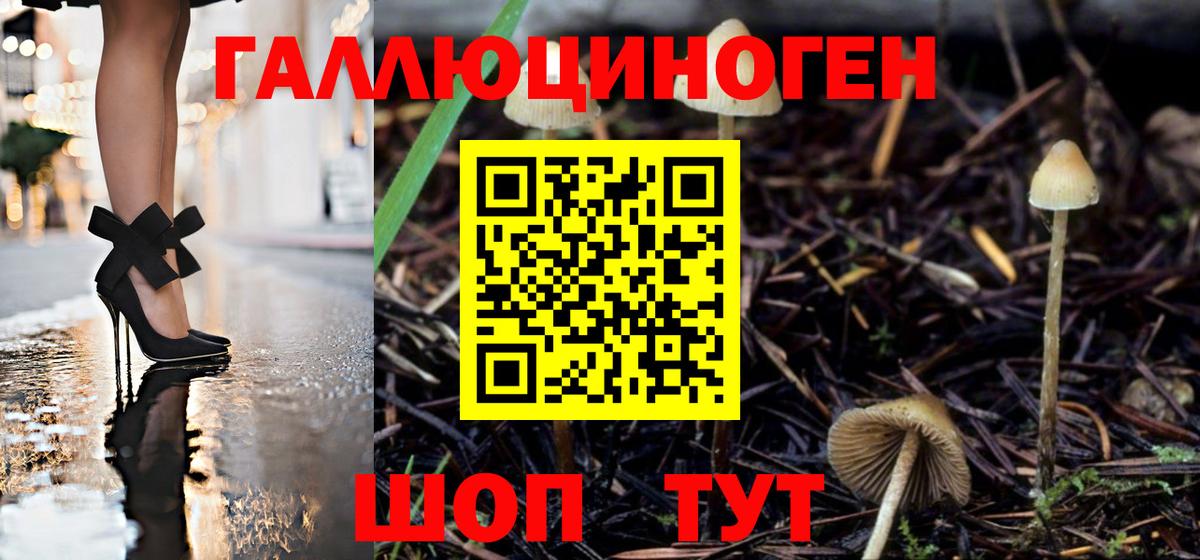 Богородицк  Галлюциногенные грибы Psilocybine cubensis  Псилоцибиновые грибы прущие грибы  закладка  Вход с VPN 